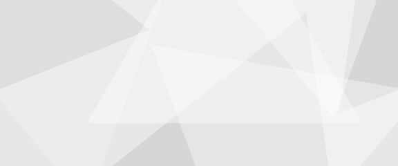 Fototapeta premium Soft gray wide abstract banner. Vector illustration. White and grey 3d modern abstract background with polygonal texture. vector illustration background.