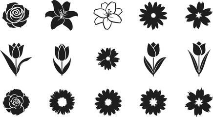 Fototapeta premium Black and white flower flowers silhouettes rose
