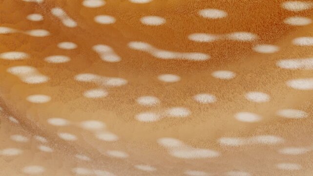 Horizontal 3d abstract deer animal fur pattern banner template copyspace loop animation spots texture fawn background wildlife forest nature print fashion design fabric brown orange tan beige warm