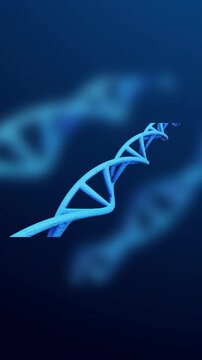 DNA Strand Animation Spinning on science background. Full Hd. 4K