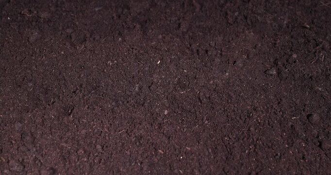 fertile soil mixed with peat and humus for growing and various plants, part of the territory with fertile brown soil mixed with other useful elements to improve the harvest
