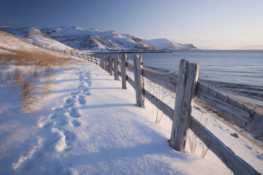 Snow fence along Arctic coastline near Hammerfest in winter light