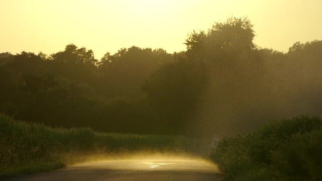 Sprinkler machine is irrigating a cornfield and a road.