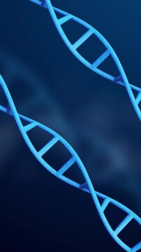 DNA Strand Animation Spinning on science background. Full Hd. 4K