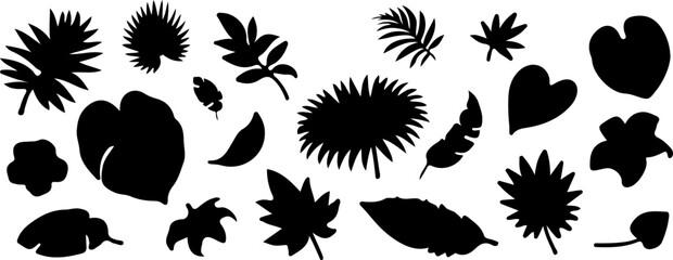 Silhouette jungle leaf. Abstract black palm tropical rainforest leaves. Decorative plants. Graphic foliage silhouettes and elements for design isolated on white background. Vector set,