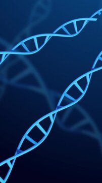 DNA Strand Animation Spinning on science background. Full Hd. 4K