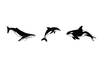 Obraz premium Silhouette Animals: Whale, Dolphin, Orca