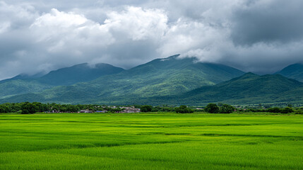 A serene landscape of a green field with a mountain range under a cloudy sky