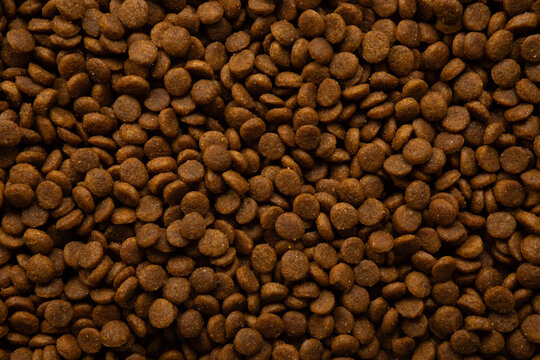 Texture of dog or cat dry product pet food background