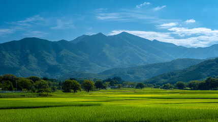 Obraz premium A serene landscape of green rice fields with majestic mountains in the background