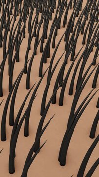 Hair growth animation nutrition and treatment for growth. Full HD. 4K 