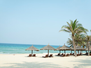 Fototapeta premium tropical beach with coconut palm trees