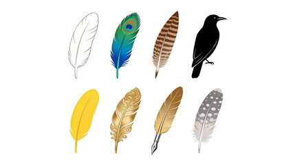 Obraz premium Feather illustration set including peacock, quill, crow, golden, spotted, and striped designs isolated. Nature elements for writing stationery and creative decoration.
