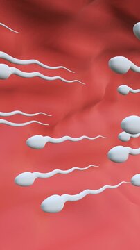 3D Animation of Human sperm. Full HD. 4K
