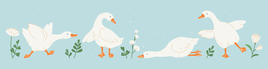 Silly goose, decorative white chamomile flowers and green leaves © Olena