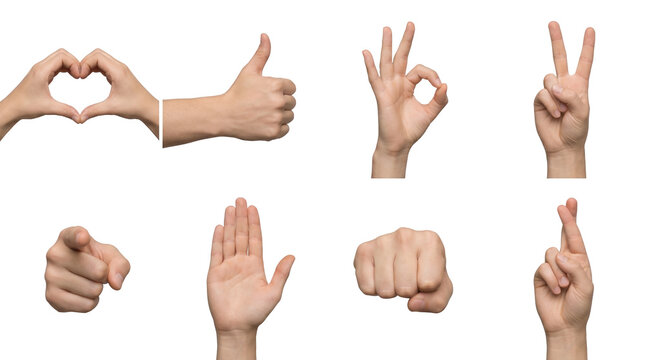 Human hands set including heart gesture, thumbs up, okay sign, peace symbol, pointing, open palm, fist, and crossed fingers isolated. Body language and nonverbal communication collection.