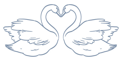 Line minimalist swans couple. Elegant birds with heart shape necks isolated on white background. Swan in ink victorian romantic style for wedding invitation card design. Hand drawn vector illustration © KPstudio