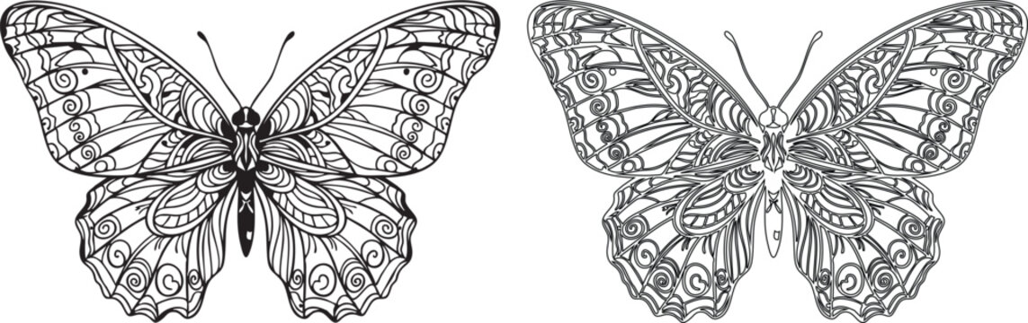 Black and white butterfly silhouettes with intricate patterns on wings