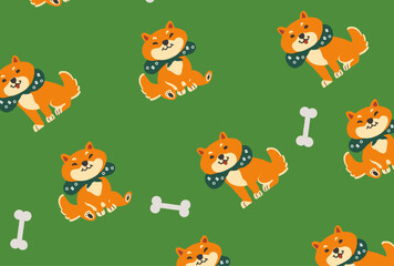 Fototapeta premium shibainu/柴犬