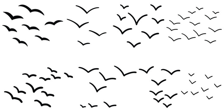 Hand-drawn doodle set of flying birds on a white background.