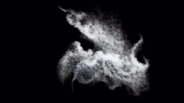 
Abstract Smoke Cloud Flow On Transparent Background Effect

Soft flowing smoke cloud forming abstract shapes With Alpha Channel for cinematic atmospheric visual effects
