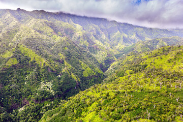 Obraz premium The tropical island of Kauai