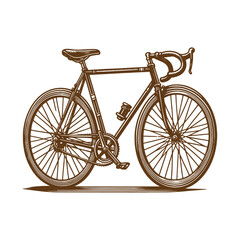 Vintage bicycle illustration on white background
