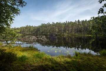 Norra Kvills national park in Sweden