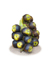 Obraz premium Toddy Palm ,Palmyra Fruit isolated on white background