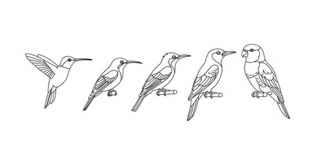 Obraz premium Line art of five birds perched in profile view