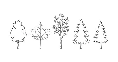 Fototapeta premium Outline illustrations of diverse tree species: oak, maple, birch, pine, spruce