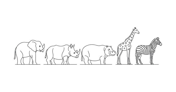 Line art of african wildlife: elephant, rhinoceros, hippopotamus, giraffe, zebra