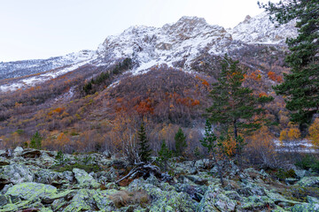 View of a high-mountain gorge on Dombai in the Teberda Nature Reserve
