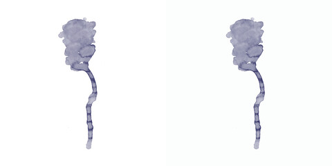 Abstract dark purple watercolor blobs with trailing effect on white background.