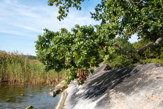 Beautiful Segersg&auml;rde nature reserve in Sweden