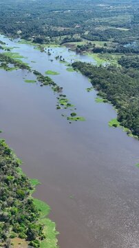 Amazon River At Manaus Amazonas Brazil. River Flowing Through Lush Green Forest Landscape. Peru Nature Forest Brazil Bay. Peru Green. Manaus Amazonas.