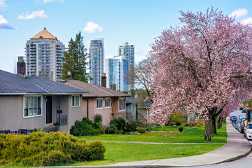 Residential district on early spring time in Vancouver, BC