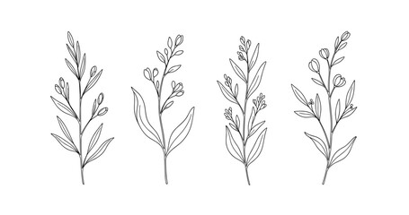 Obraz premium (Adobe Illustrator Artwork)