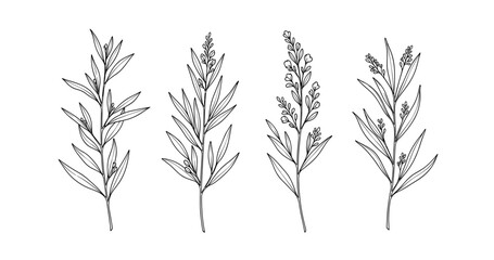 Obraz premium (Adobe Illustrator Artwork)