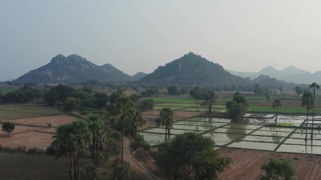 Aerial view of irrigated farmland with reflective water fields, palm trees, and rocky hills near Warangal, Telangana, India, showing rural agriculture and natural landscape.