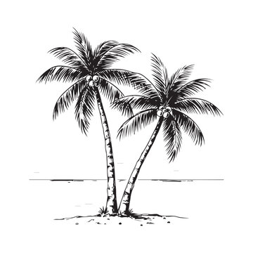 palm trees on the beach engraving outline vector art illustration design, palm tree silhouette, hand drawn beach drawing, line art palm tree, sea, beach, summer view, vintage palm tree on sea beach.