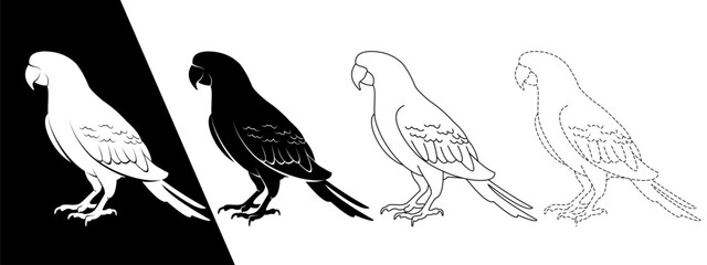 Versatile vector parrot collection featuring clean Stroke, detailed Outline, bold Silhouette, playful Dashed Line, all lineart, monochrome, isolated EPS