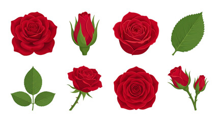 Red Rose Botanical Set featuring Bloom Bud Leaf Stem Thorn Realistic Gradient Elements