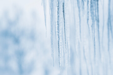 Beautiful Icicles