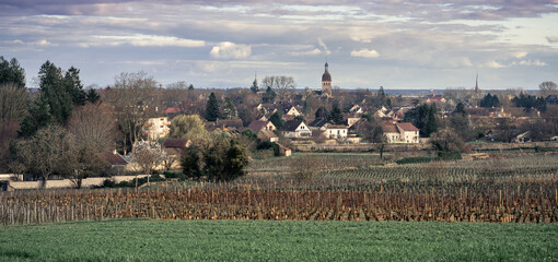Beaune vineyards with Saint Nicolas church in winter, Burgundy