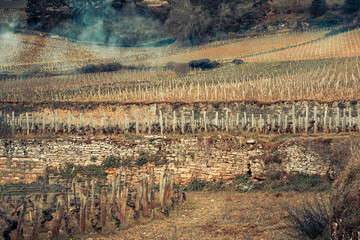 Stone walls and winter vineyards in Beaune, Burgundy