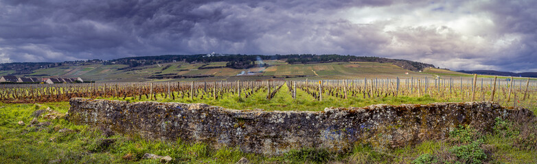 Winter vineyard panorama in Beaune, Burgundy