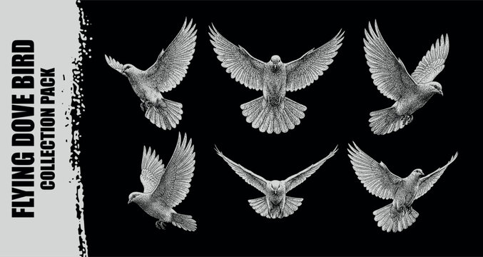 Vector collection pack six white hand-drawn flying doves illustrated on a black background.