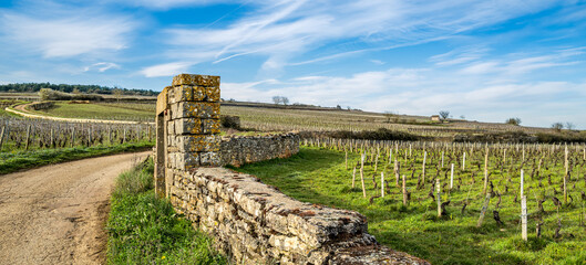 Wine route through historic vineyards in Burgundy