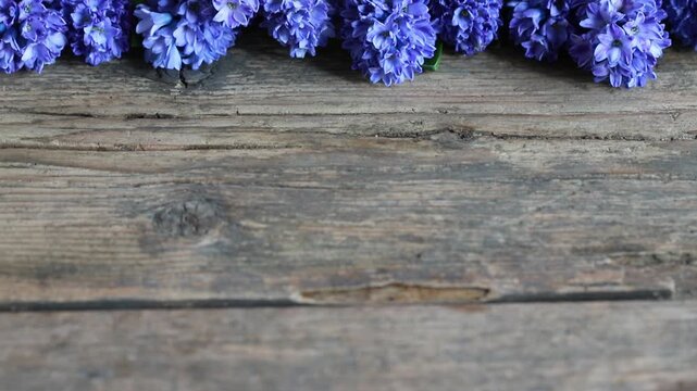Beautiful violet hyacinth flowers on wooden background. Copy space.